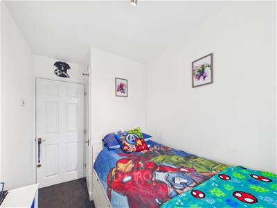 Picture 5